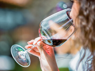 Coffret cadeau Découverte œnologique : 1 journée Week-end Initiation à la dégustation