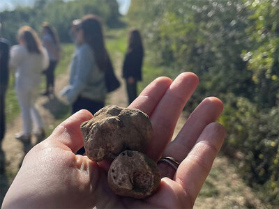 Caccia al tartufo con pranzo a base di tartufo e degustazione di olio e vino per 2