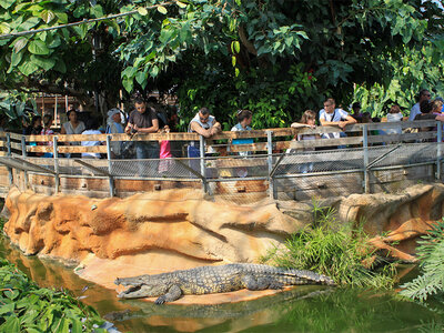 Coffret Journée passionnante en famille à la Ferme aux Crocodiles, près d'Avignon pour 4