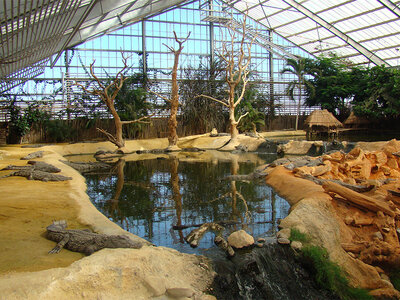 Coffret Journée en famille près de Montélimar : entrées pour La Ferme aux Crocodiles pour 2 adultes et 1 enfant