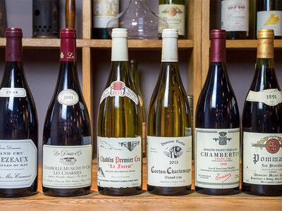 Coffret cadeau Passion vins : atelier œnologique de 2h en France pour 1 personne