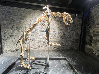 Cofanetto Avventura speleologica nelle Grotte di Equi con visita alla Tecchia