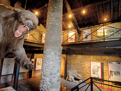 Cofanetto Tuffo nella preistoria: visita al museo e alle Grotte di Equi Geo-Archeo Park per 1