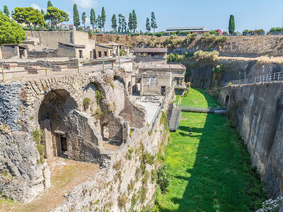 Tour giornaliero Vesuvio ed Ercolano con biglietti saltafila per 2 adulti