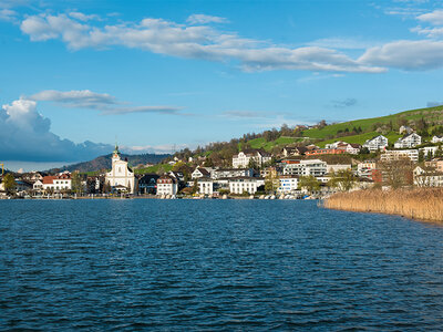 Excursion en bateau de 3h sur le lac des Quatre-Cantons pour 4 personnes à Lucerne