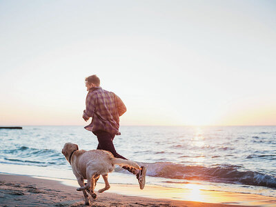 Coffret cadeau 3 jours avec votre chien en hôtel Ibis Budget sur la côte belge