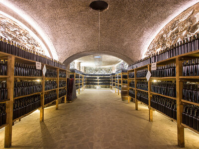 Degustazione di 9 vini con 9 abbinamenti gastronomici presso Salsomaggiore Terme