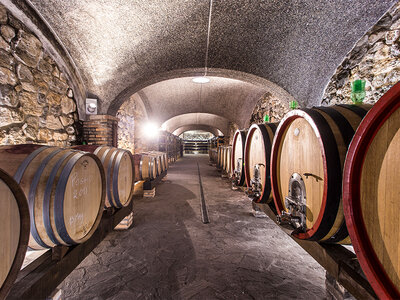 Cofanetto Degustazione di 9 vini con 9 abbinamenti gastronomici presso Salsomaggiore Terme