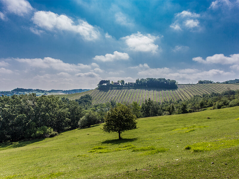 Degustazione di 9 vini con 9 abbinamenti gastronomici presso Salsomaggiore Terme