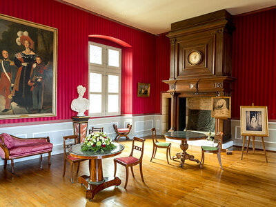 Entrée coupe-file adulte pour le château royal d'Amboise