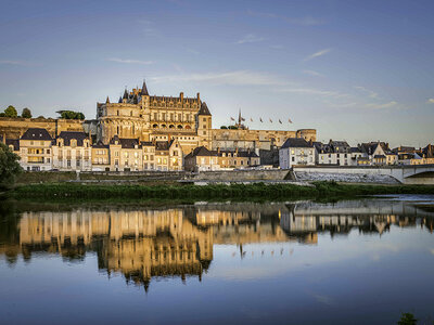 Coffret cadeau Entrée coupe-file adulte pour le château royal d'Amboise