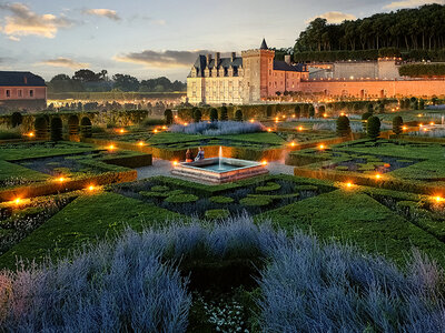 Coffret cadeau Culture près de Tours : 2 entrées adulte pour le château de Villandry