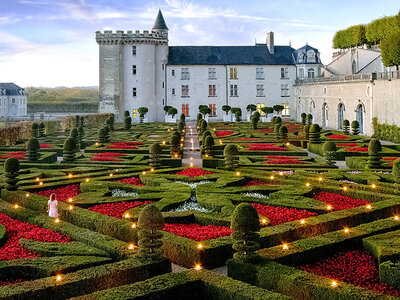 Culture près de Tours : 1 entrée adulte pour le Château de Villandry