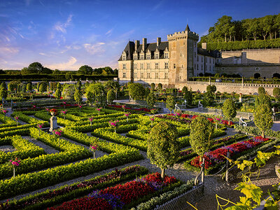 Coffret cadeau Culture près de Tours : 1 entrée adulte pour le Château de Villandry