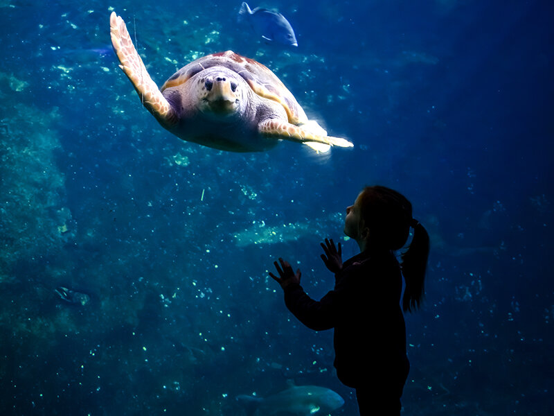 Sortie avec bébé : l'aquarium Nausicaa - Doudou & Stiletto