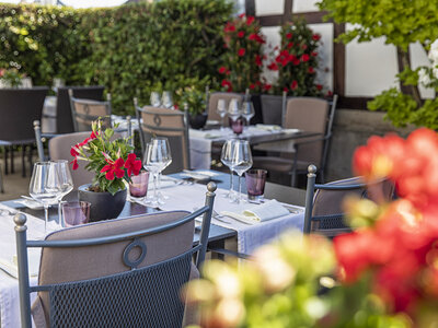 Coffret Séjour gastronomique de 3 jours en hôtel 3* au bord du pittoresque lac de Constance