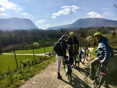 Box Fahrradtour mit Weindegustation in der Region Neuchâtel