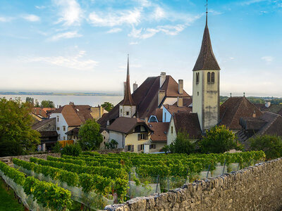 Coffret cadeau Balade à vélo de 4h avec dégustation de vins au pays de Neuchâtel