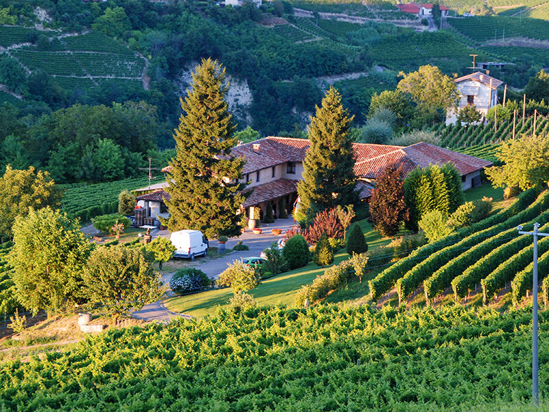 1 notte nei vigneti di una cantina delle Langhe con visita e degustazione vini per 3