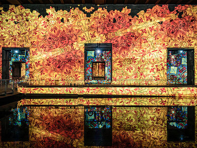 Coffret Journée à Bordeaux : 1 entrée adulte pour les Bassins des Lumières