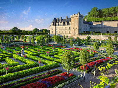 Coffret Sortie familiale près de Tours : 2 entrées adulte et 2 entrées jeune pour le château de Villandry