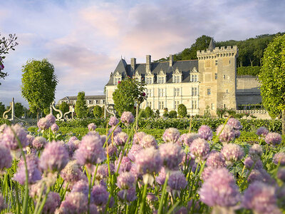 Coffret Culture en famille près de Tours : 1 entrée adulte et 2 entrées jeune pour le château de Villandry