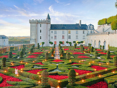 Culture en famille près de Tours : 1 entrée adulte et 2 entrées jeune pour le château de Villandry