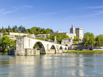 Coffret cadeau Sortie culture : 2 entrées adulte pour le Palais des Papes et le pont d'Avignon