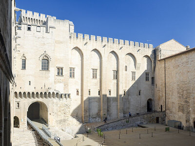 Sortie culture : 2 entrées adulte pour le Palais des Papes et le pont d'Avignon