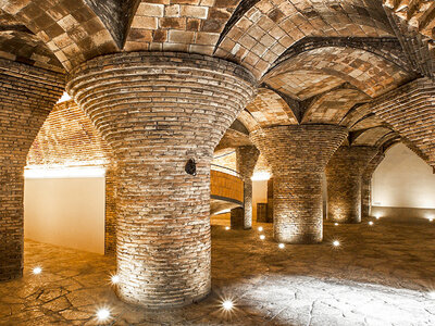 Visita exclusiva y sin colas a Palau Güell de Barcelona: 2 entradas de adulto