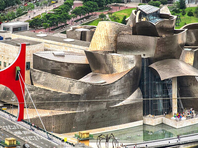 Museo Guggenheim Bilbao: 2 entradas de adulto y tour al aire libre