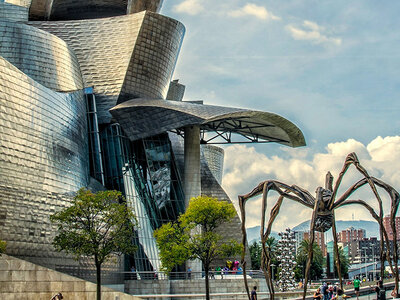 Caja Museo Guggenheim Bilbao: 2 entradas de adulto y tour al aire libre