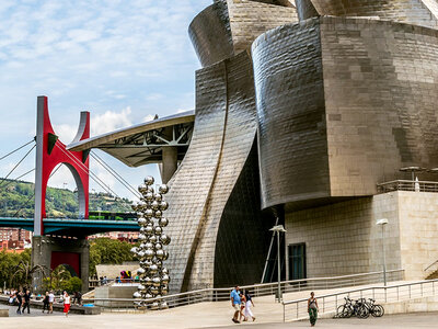 Caja regalo Museo Guggenheim Bilbao: 2 entradas de adulto y tour al aire libre