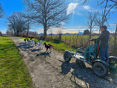 Coffret cadeau Aventure insolite en famille : 1h de balade en Cani-Kart près de Clermont-Ferrand