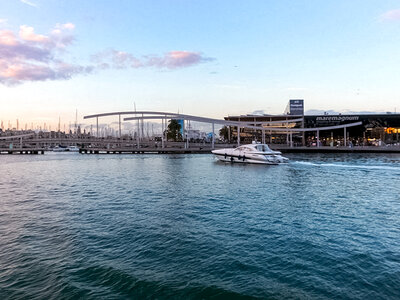 Caja 2 entradas de adulto para un crucero en catamarán ecológico en Barcelona