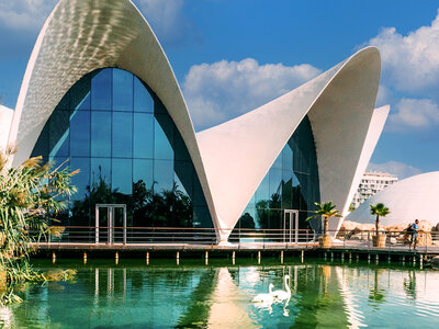 Caja Oceanogràfic de Valencia y Museu de les Ciències: 1 entrada de adulto en temporada media