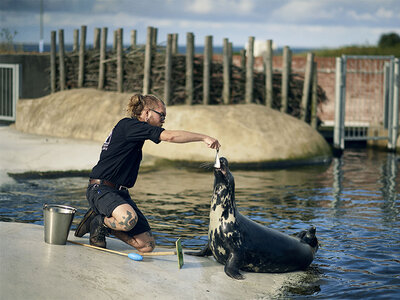 Boks Oplevelser for bedste venner