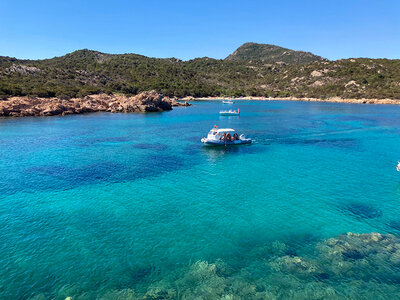 In Sardegna sulla scia dei delfini: escursione in gommone per 2 adulti e 2 bambini