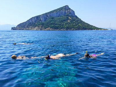 Cofanetto Avvistamento delfini in Sardegna con un’escursione in gommone per 2 adulti e 1 bambino