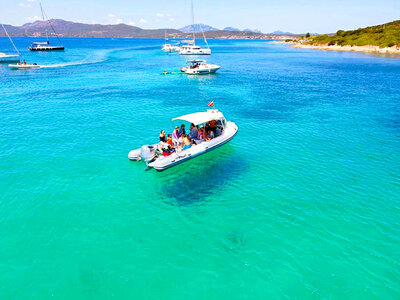 Cofanetto Alla ricerca dei delfini in Sardegna con un’escursione in gommone per 2