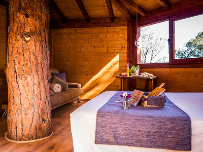 Caja Cabanes Dosrius: 1 noche en una cabaña en un árbol con desayuno y cena