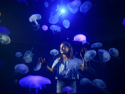 Palma Aquarium: 1 entrada de adulto y 1 de niño