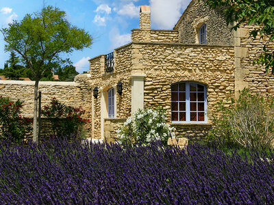 Coffret cadeau 2 jours avec dîner dans un mas provençal avec piscine près de Nîmes