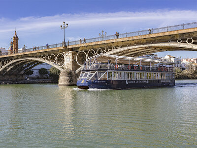 Crucero turístico de 1h en Sevilla por el Guadalquivir para 1 persona