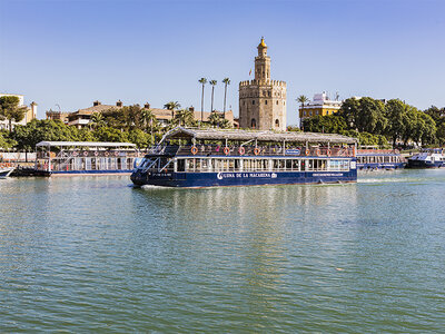 Caja Crucero turístico de 1h en Sevilla por el Guadalquivir para 1 persona