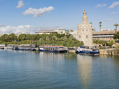 Caja regalo Crucero turístico de 1h en Sevilla por el Guadalquivir para 1 persona