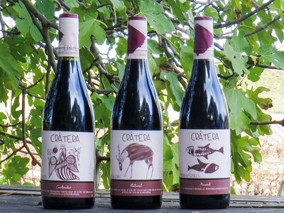 Caja regalo De vinos sin salir de casa: 1 pack a domicilio de vinos manchegos Crátera