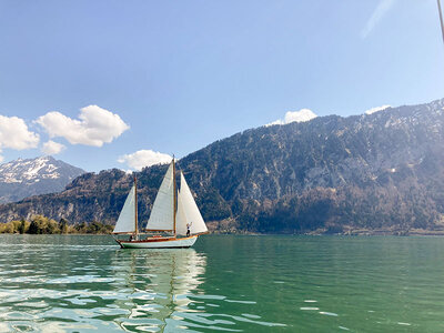 Übernachtung im Segelschiff auf dem Thunersee mit einer Flasche Wein