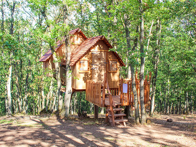 Coffret cadeau Séjour insolite de 2 jours en cabane perchée près de Dinant