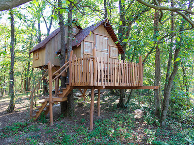 Coffret cadeau 3 jours dans les Ardennes en cabane et chambre familiale pour 4